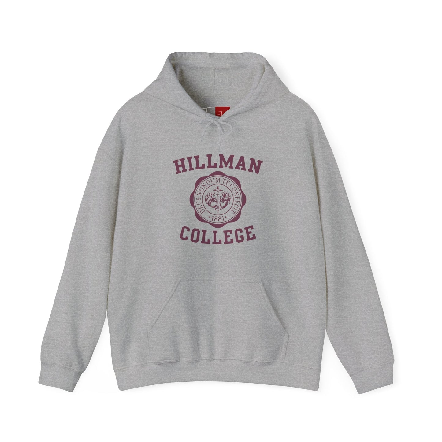 Hillman Hooded Sweatshirt - Tee and Jeans