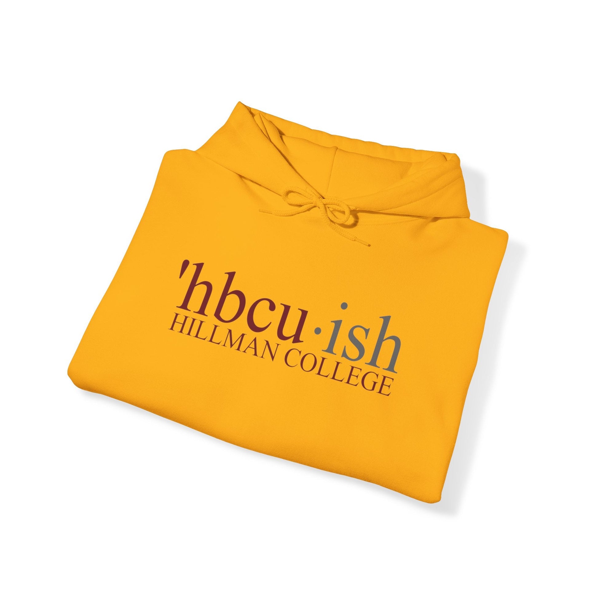 HBCU-ish Hooded Sweatshirt - Tee and Jeans