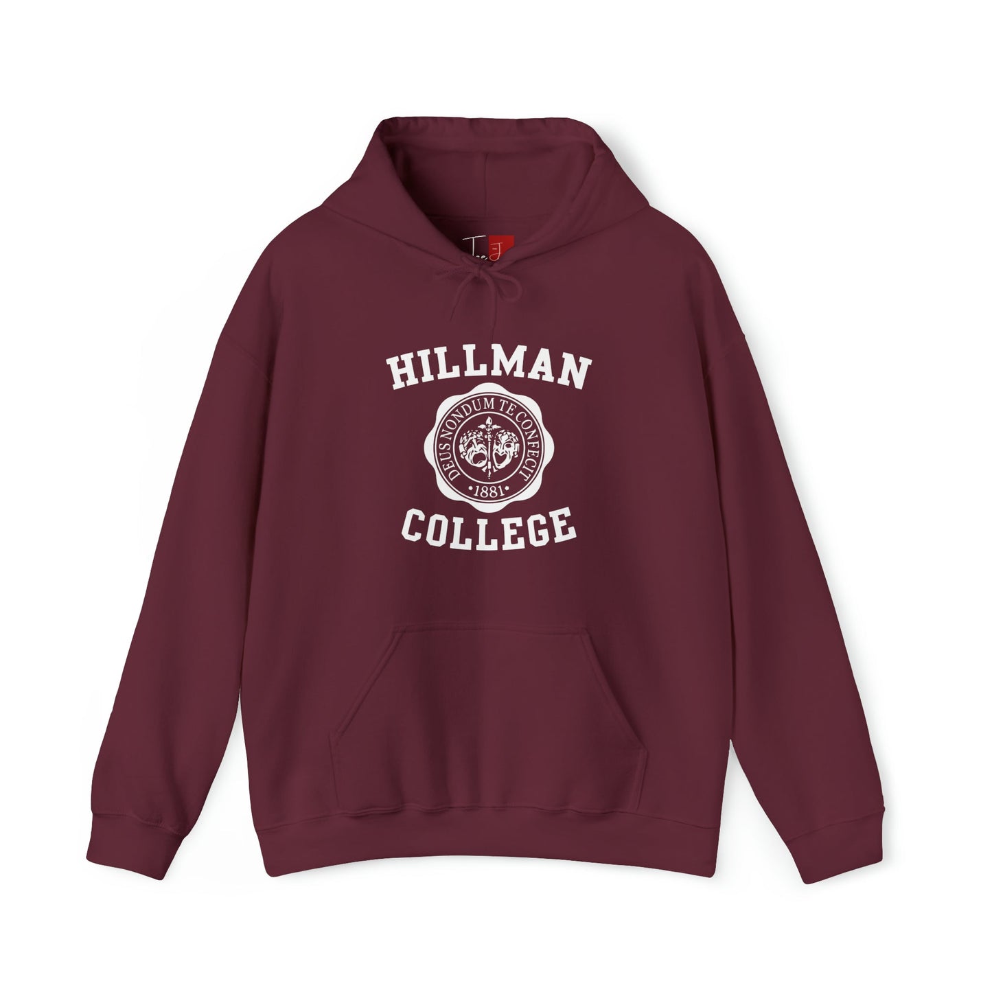 Hillman College Hooded Sweatshirt - Tee and Jeans