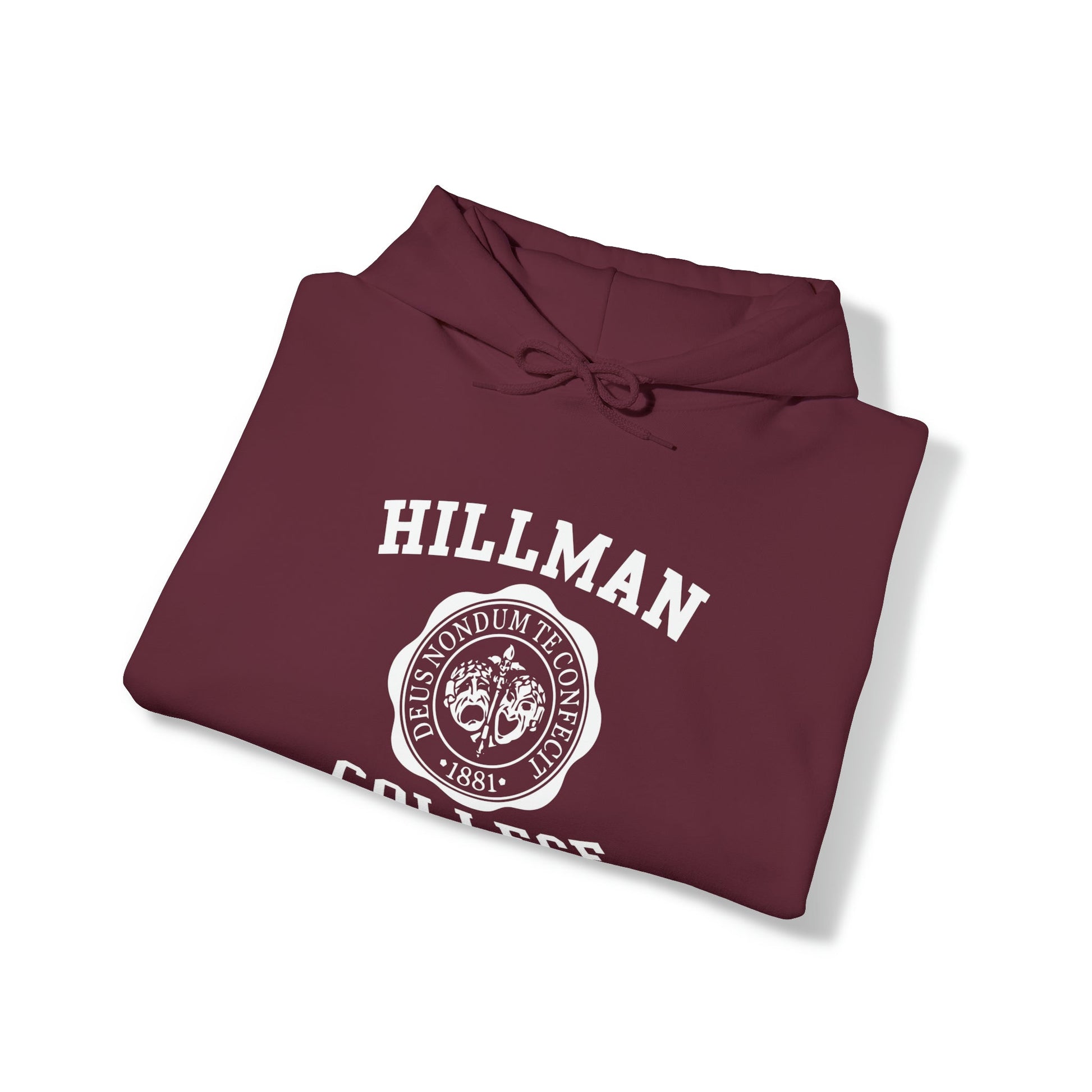 Hillman College Hooded Sweatshirt - Tee and Jeans