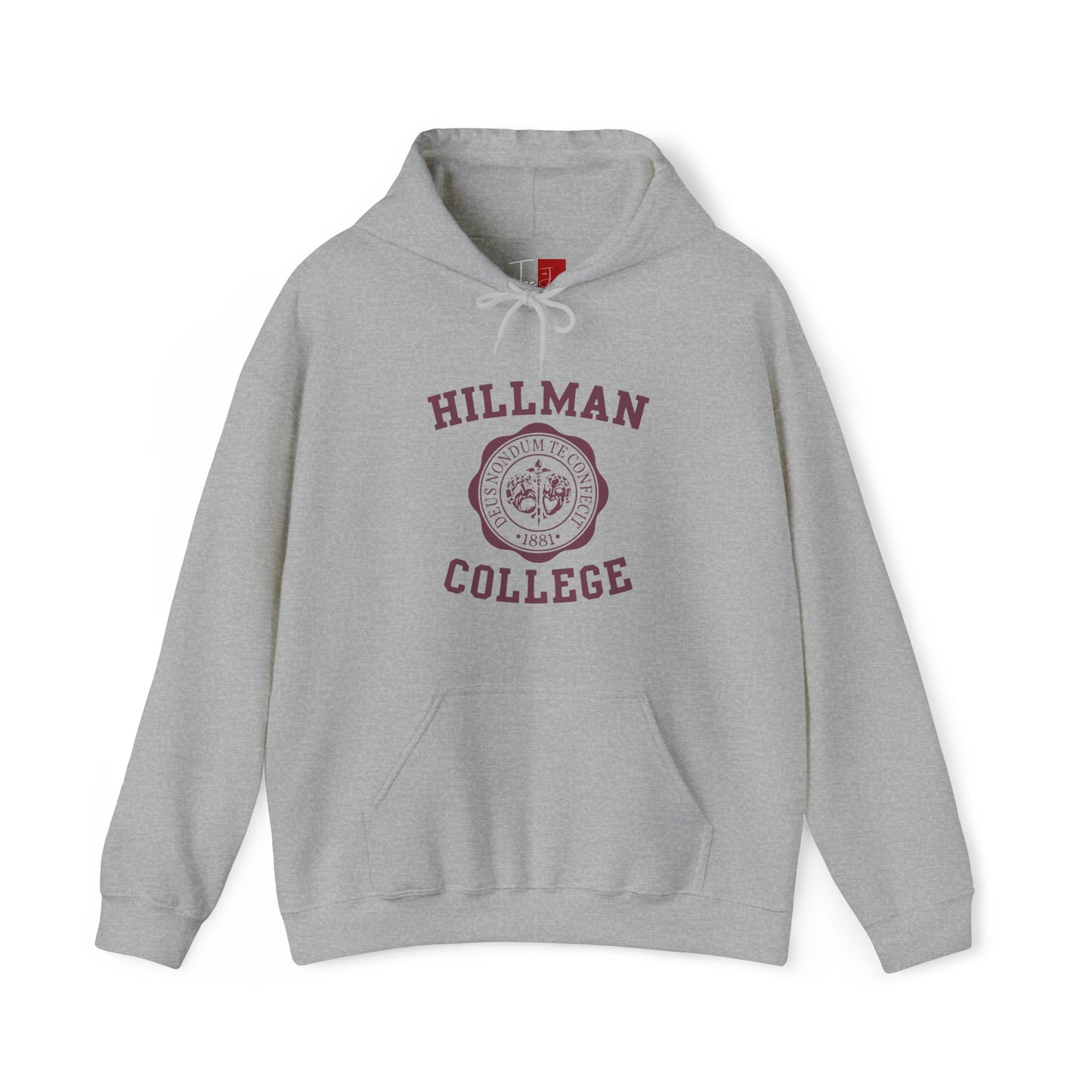 Hillman College Hooded Sweatshirt - Tee and Jeans