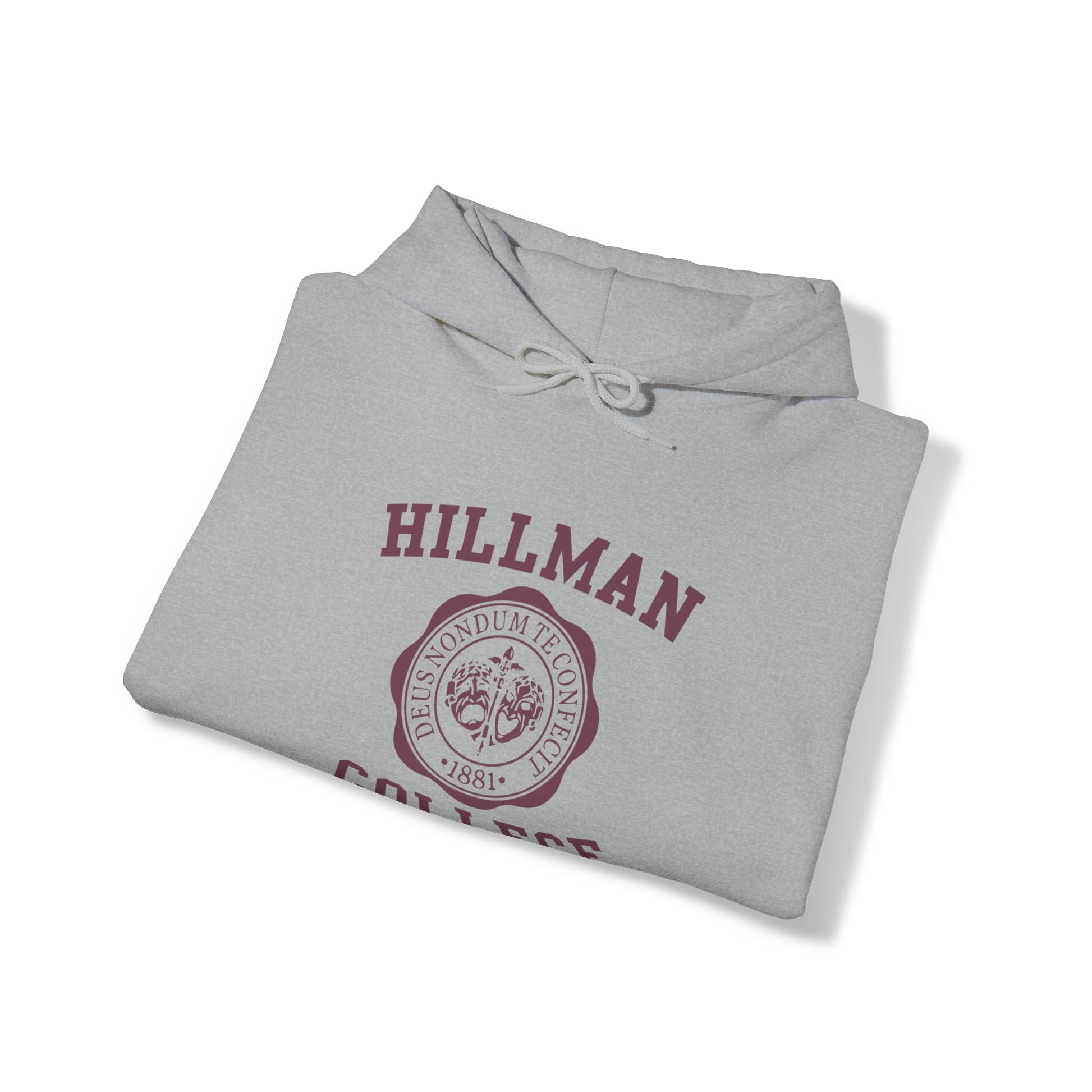 Hillman College Hooded Sweatshirt - Tee and Jeans